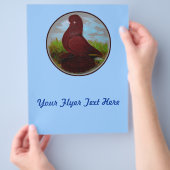 Tumbler Pigeon Red Muff Flyer (Hand)