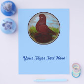 Tumbler Pigeon Red Muff Flyer (Enkel)