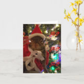 Tumbleweed Christmas-Kaart Kaart (Gele Bloem)