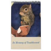 Tumbleweed-kalender Kalender (Hoes)