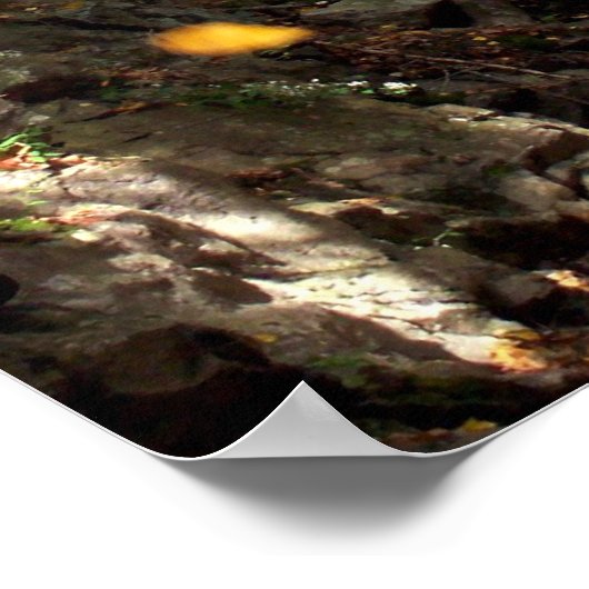 Tumbling Leaves Poster (Hoek)