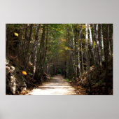 Tumbling Leaves Poster (Voorkant)