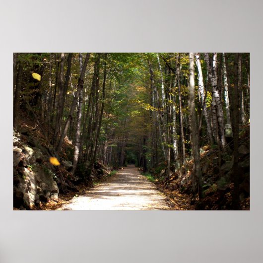 Tumbling Leaves Poster (Voorkant)