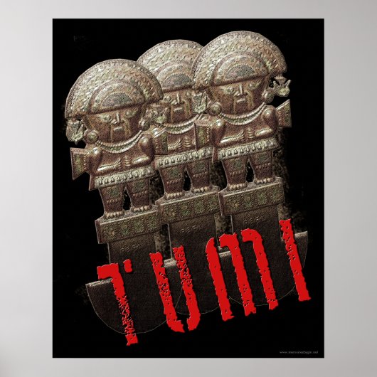 TUMI-Poster Poster (Voorkant)
