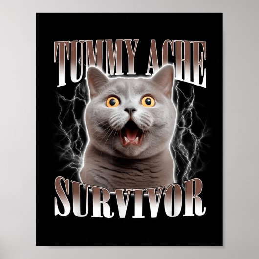 Tummy Ache Survivor Cat Meme Funny Quote Gezegde C Poster (Voorkant)