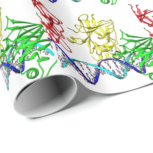 Tumorsuppressor p53 cadeaupapier (Rol Hoek)