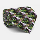 Tuna The Hairless Sphynx Cat, Stropdas (Opgerold)