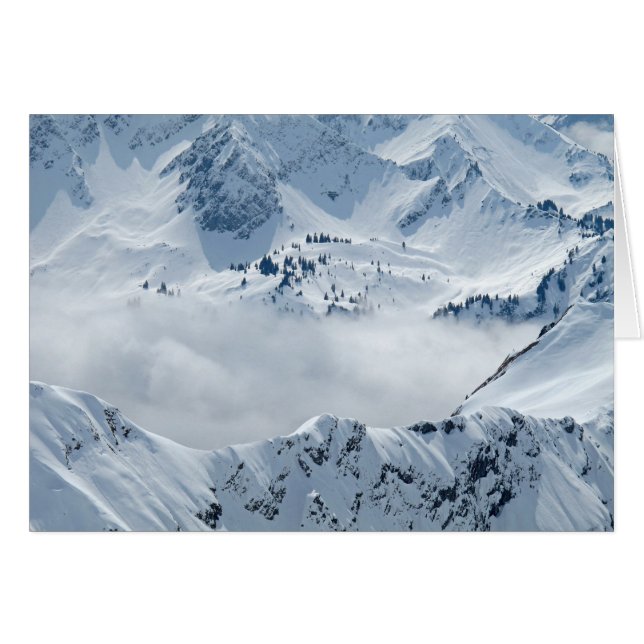 Tundra (Voorkant Horizontaal)