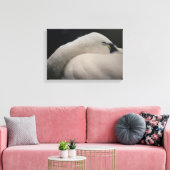 Tundra Swan sleeping Stretched Canvas Print (Insitu (Woonkamer))
