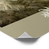 Tundra Wolf 11x17 Poster (Hoek)