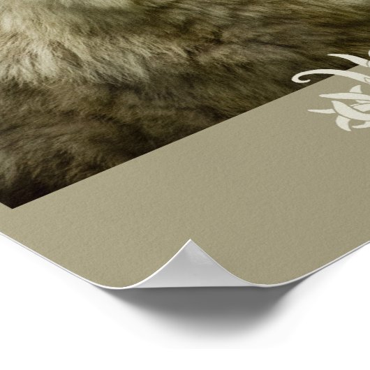 Tundra Wolf 11x17 Poster (Hoek)