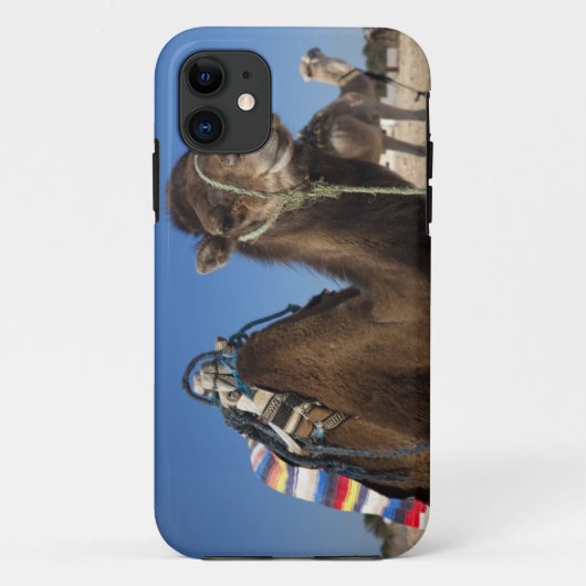 Tunesië, de Sahara, Douz, Zone Touristique, Case-Mate iPhone Case (Achterkant)