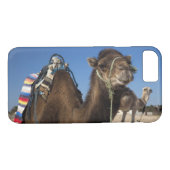 Tunesië, de Sahara, Douz, Zone Touristique, Case-Mate iPhone Case (Achterkant (Horizontaal))