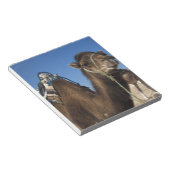 Tunesië, de Sahara, Douz, Zone Touristique, Notitieblok (Schuin)