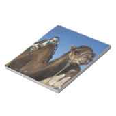 Tunesië, de Sahara, Douz, Zone Touristique, Notitieblok (Linkerzijde)