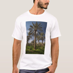 Tunesië, Ksour Area, Ksar Ghilane, date palm 2 T-shirt