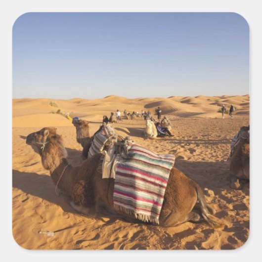 Tunesië, Ksour Area, Ksar Ghilane, Grand Erg 3 Vierkante Sticker (Voorkant)