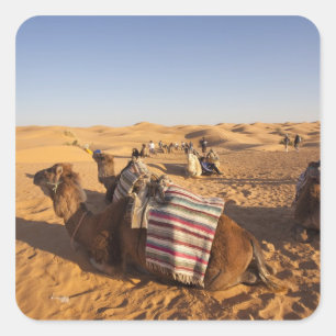 Tunesië, Ksour Area, Ksar Ghilane, Grand Erg 3 Vierkante Sticker