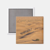 Tunesië, Ksour Area, Ksar Ghilane, Grand Erg 4 Magneet (Voorkant / Achterkant)