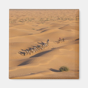 Tunesië, Ksour Area, Ksar Ghilane, Grand Erg 4 Magneet