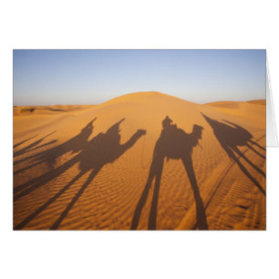 Tunesië, Ksour Area, Ksar Ghilane, Grand Erg 5