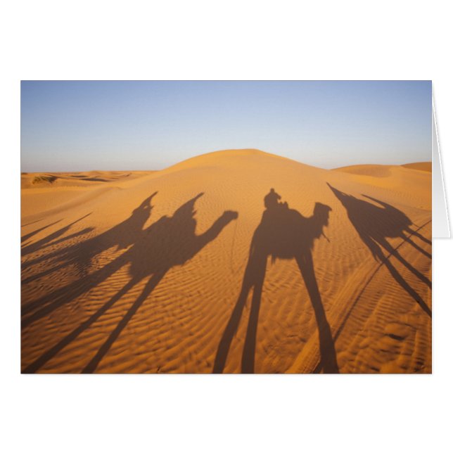 Tunesië, Ksour Area, Ksar Ghilane, Grand Erg 5 (Voorkant Horizontaal)