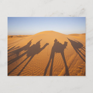 Tunesië, Ksour Area, Ksar Ghilane, Grand Erg 5 Briefkaart