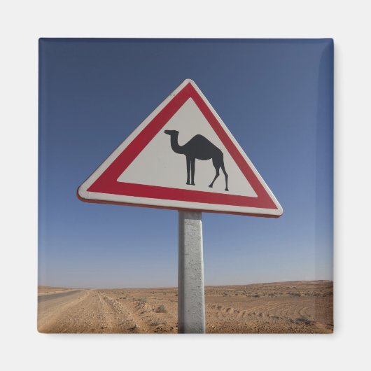 Tunesië, Ksour Area, Ksar Ghilane, Grand Erg 6 Magneet (Voorkant)