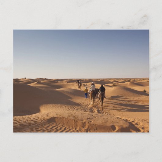 Tunesië, Ksour Area, Ksar Ghilane, Grand Erg 7 Briefkaart (Voorkant)