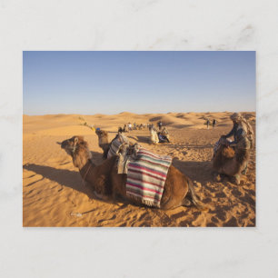 Tunesië, Ksour gebied, Ksar Ghilane, Grand Erg 3 Briefkaart