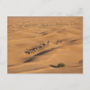 Tunesië, Ksour gebied, Ksar Ghilane, Grand Erg 4 Briefkaart