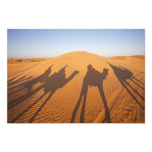 Tunesië, Ksour gebied, Ksar Ghilane, Grand Erg 5 Foto Afdruk