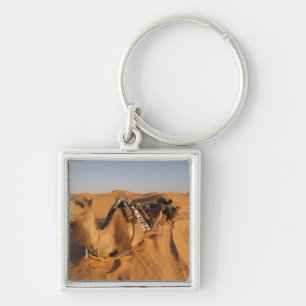 Tunesië, Ksour gebied, Ksar Ghilane, Grand Erg 5 Sleutelhanger