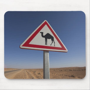 Tunesië, Ksour gebied, Ksar Ghilane, Grand Erg 6 Muismat