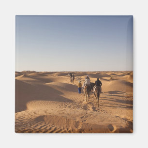 Tunesië, Ksour gebied, Ksar Ghilane, Grand Erg 7 Magneet