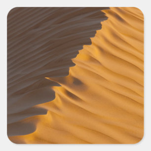 Tunesië, Ksour gebied, Ksar Ghilane, Grand Erg Vierkante Sticker