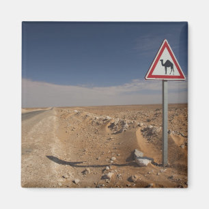 Tunesië, Ksour gebied, Ksar Ghilane, Oliepijpleidi Magneet