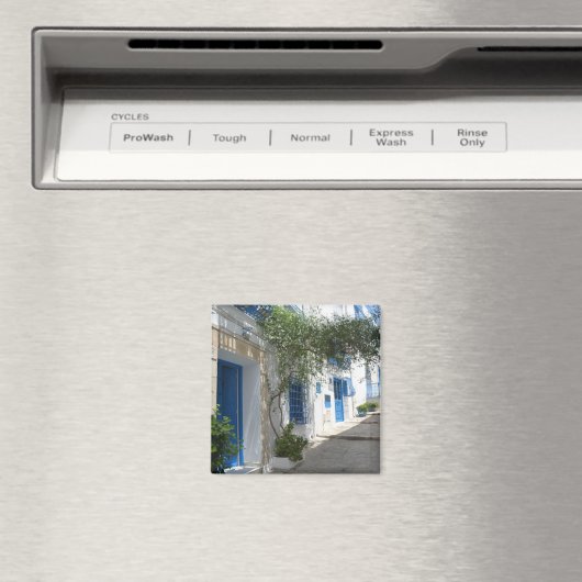 Tunesië Magneet (Insitu (Vaatwasser))