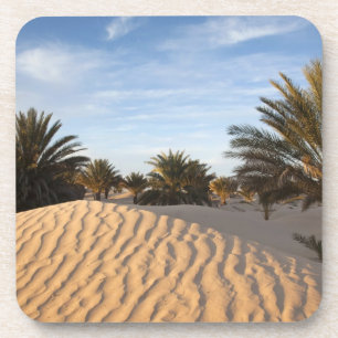 Tunesië, Sahara, Douz, Great Dune, palm 2 Onderzetter