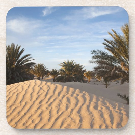 Tunesië, Sahara, Douz, Great Dune, palm 2 Onderzetter (Voorkant)