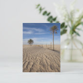 Tunesië, Sahara, Douz, Great Dune, zonsopgang Briefkaart (Staand voorkant)