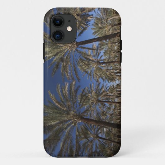 Tunesië, Sahara, Douz, Zone Touristique, 2 Case-Mate iPhone Case (Achterkant)