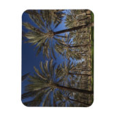 Tunesië, Sahara, Douz, Zone Touristique, 2 Magneet (Verticaal)