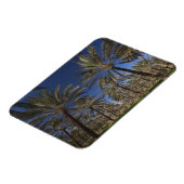 Tunesië, Sahara, Douz, Zone Touristique, 2 Magneet (Linkerzijde)