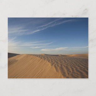 Tunesië, Sahara-woestijn, Douz, Grote Duin, scheme Briefkaart