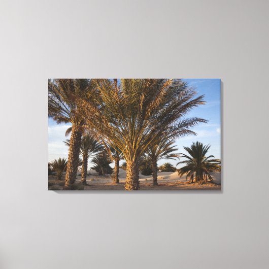 Tunesië, Saharawoestijn, Douz, Grote Duin, palm Canvas Afdruk (Voorkant)