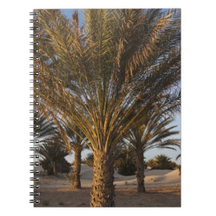 Tunesië, Saharawoestijn, Douz, Grote Duin, palm Notitieboek