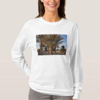 Tunesië, Saharawoestijn, Douz, Grote Duin, palm