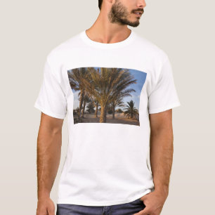 Tunesië, Saharawoestijn, Douz, Grote Duin, palm T-shirt