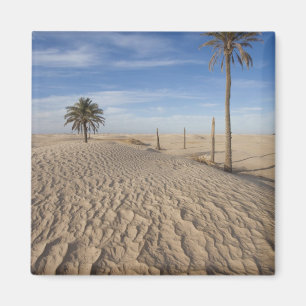 Tunesië, Saharawoestijn, Douz, Grote Duin, zonsopg Magneet
